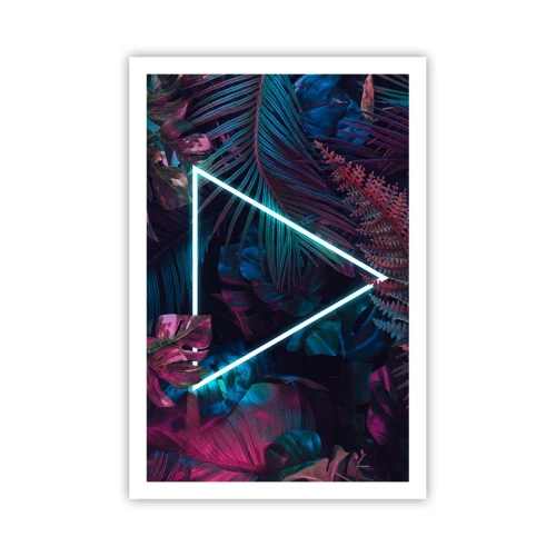 Poster - Disco-achtige tuin - 61x91 cm