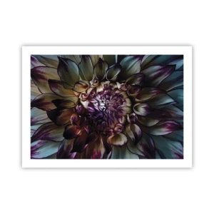 Poster - De hoogtijdagen van de jeugd - 70x50 cm