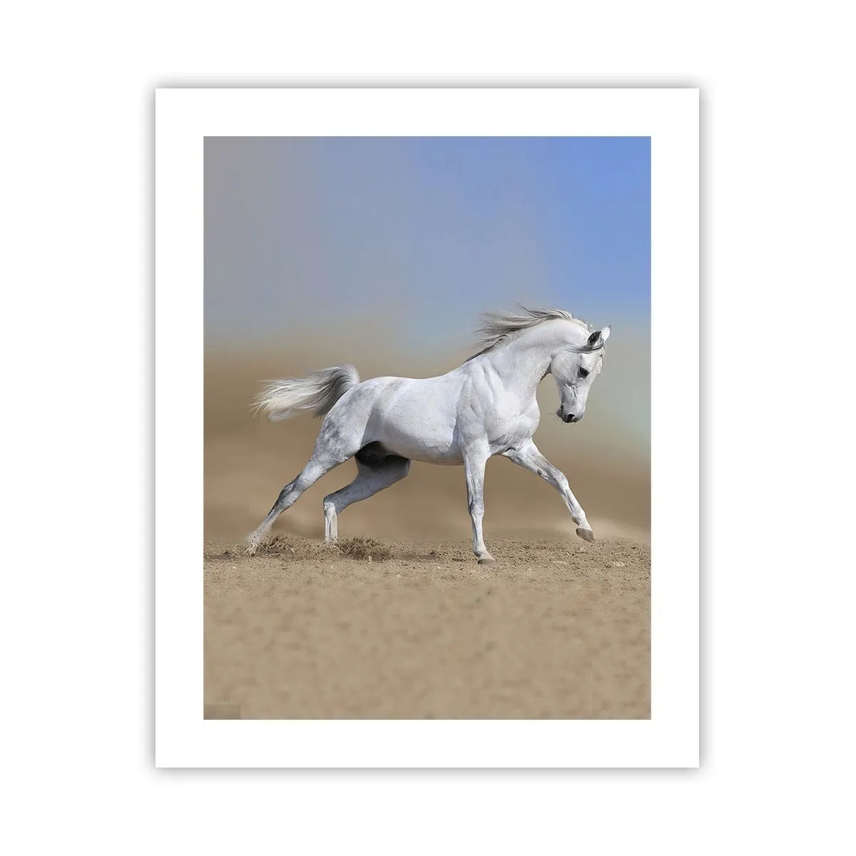 Poster - Het mooiste Arabische sprookje - 40x50 cm