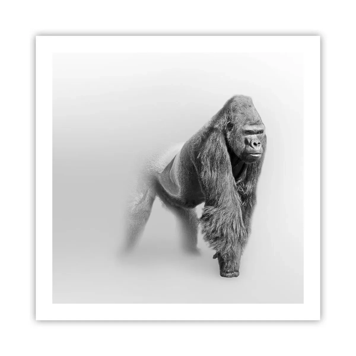 Poster - Vertrouwen in zijn kracht - 60x60 cm
