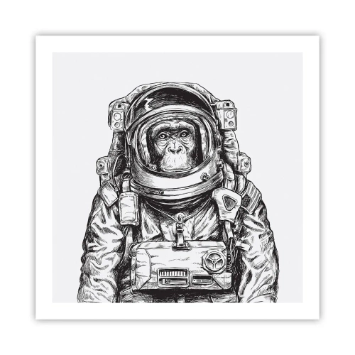 Poster - Alternatieve evolutie - 60x60 cm