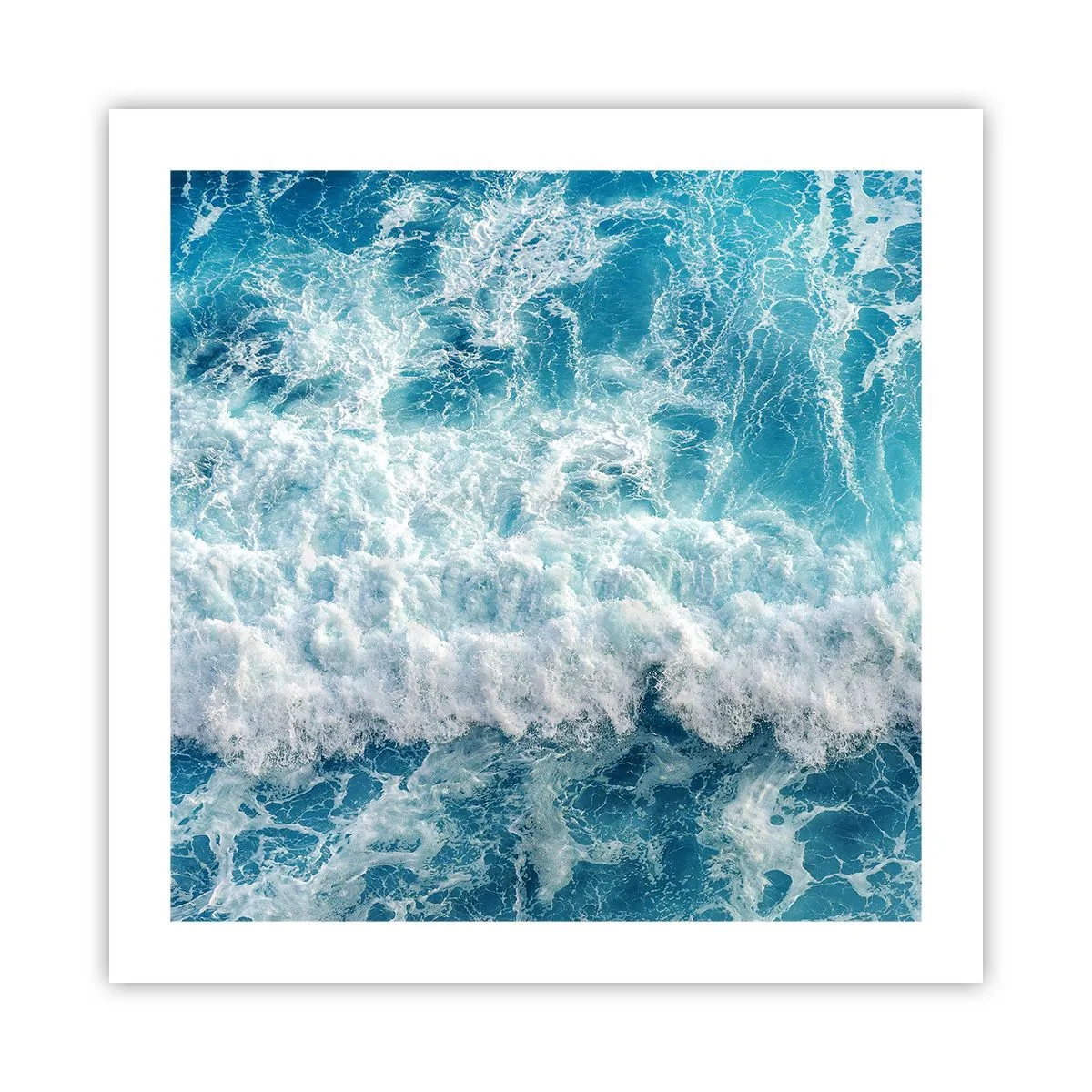 Poster - Vrolijk en springend - 50x50 cm