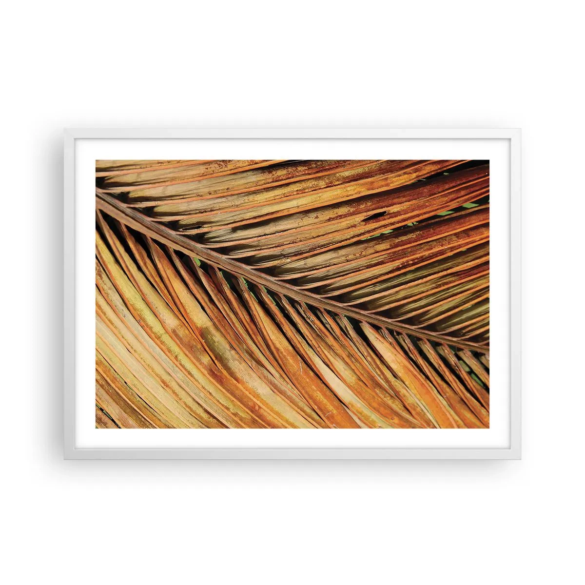 Poster in een witte lijst - Kokos goud - 70x50 cm