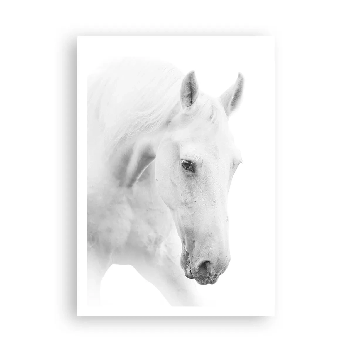 Poster - Is dit vriendschap...? - 70x100 cm