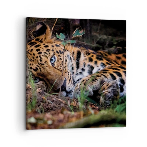 Schilderen op canvas - Geloof me - 70x70 cm