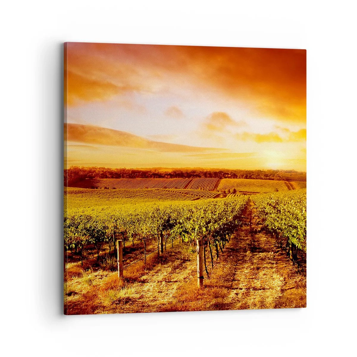 Schilderen op canvas - Licht fruitig met een vleugje zonneschijn - 70x70 cm