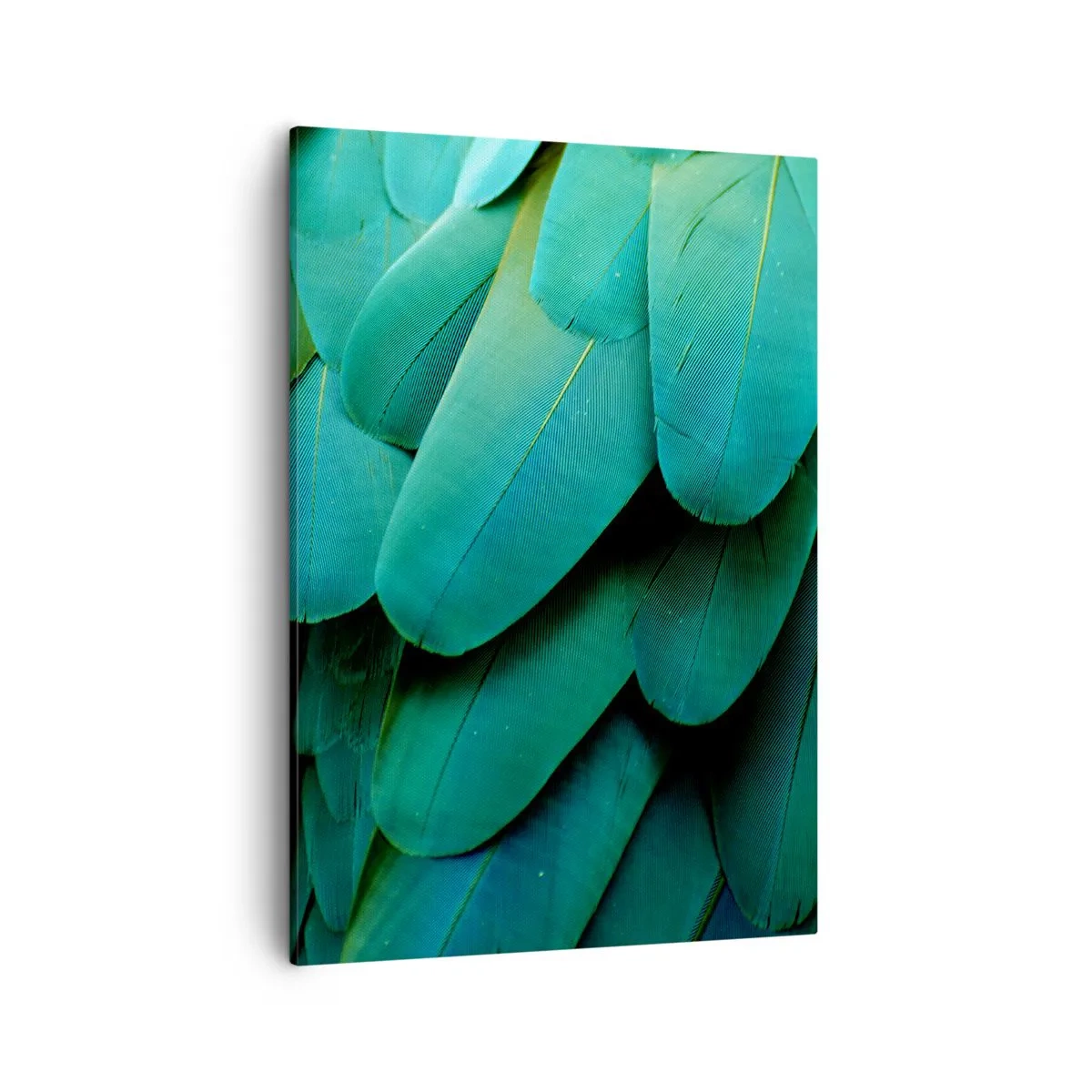 Schilderen op canvas - Papegaaiachtige precisie - 50x70 cm
