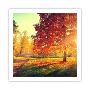 Poster - Rood is mooi - 60x60 cm
