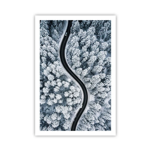 Poster - Door het winterbos - 61x91 cm