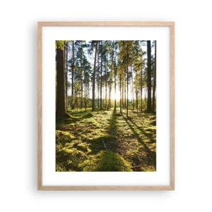 Een poster in een licht eiken lijst - … Achter de zeven bossen - 40x50 cm