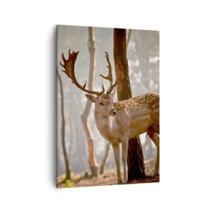 Schilderen op canvas - Het licht van de jeugd - 50x70 cm