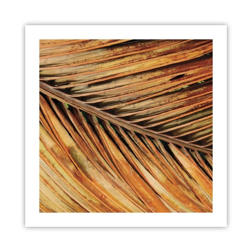 Poster - Kokos goud - 50x50 cm
