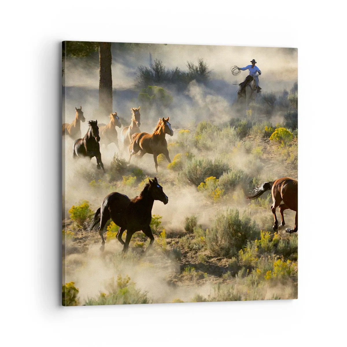 Schilderen op canvas - Rivaliteit - vrijheid of mannelijke kracht? - 70x70 cm