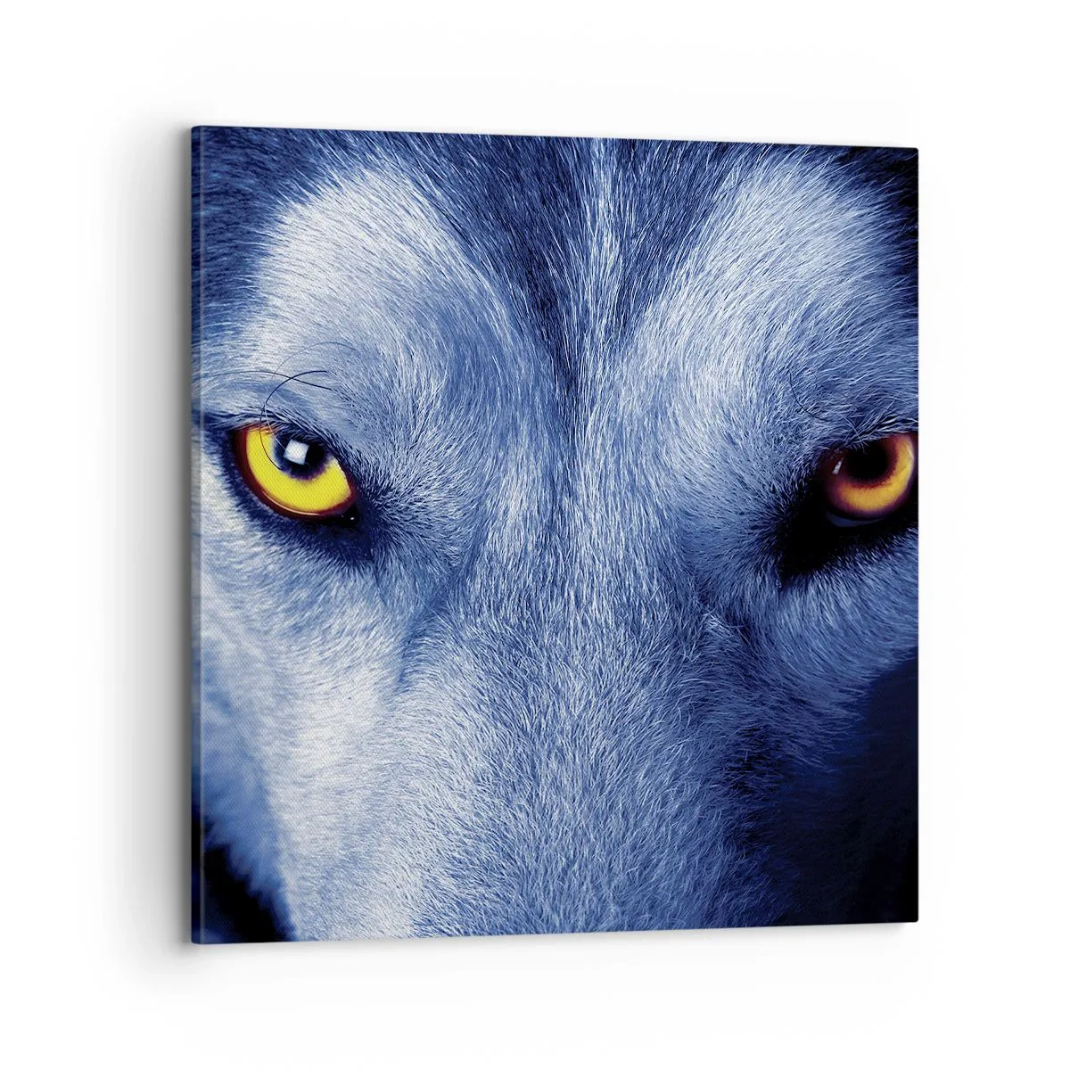 Schilderen op canvas - Betoverende look - 70x70 cm