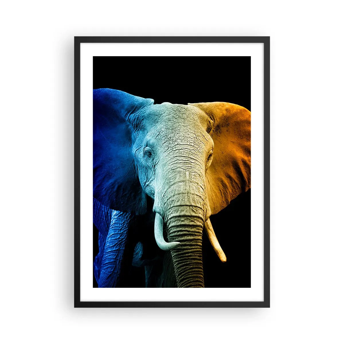 Poster in een zwarte lijst - Een kleurrijke afbeelding van een olifant op een zwarte achtergrond - 50x70cm - Excentriek, niet raar - Moderne wanddecoratie voor woonkamer en slaapkamer ARTTOR