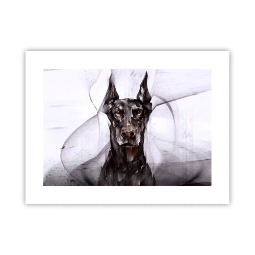 Poster - Hooggeboren - 40x30 cm