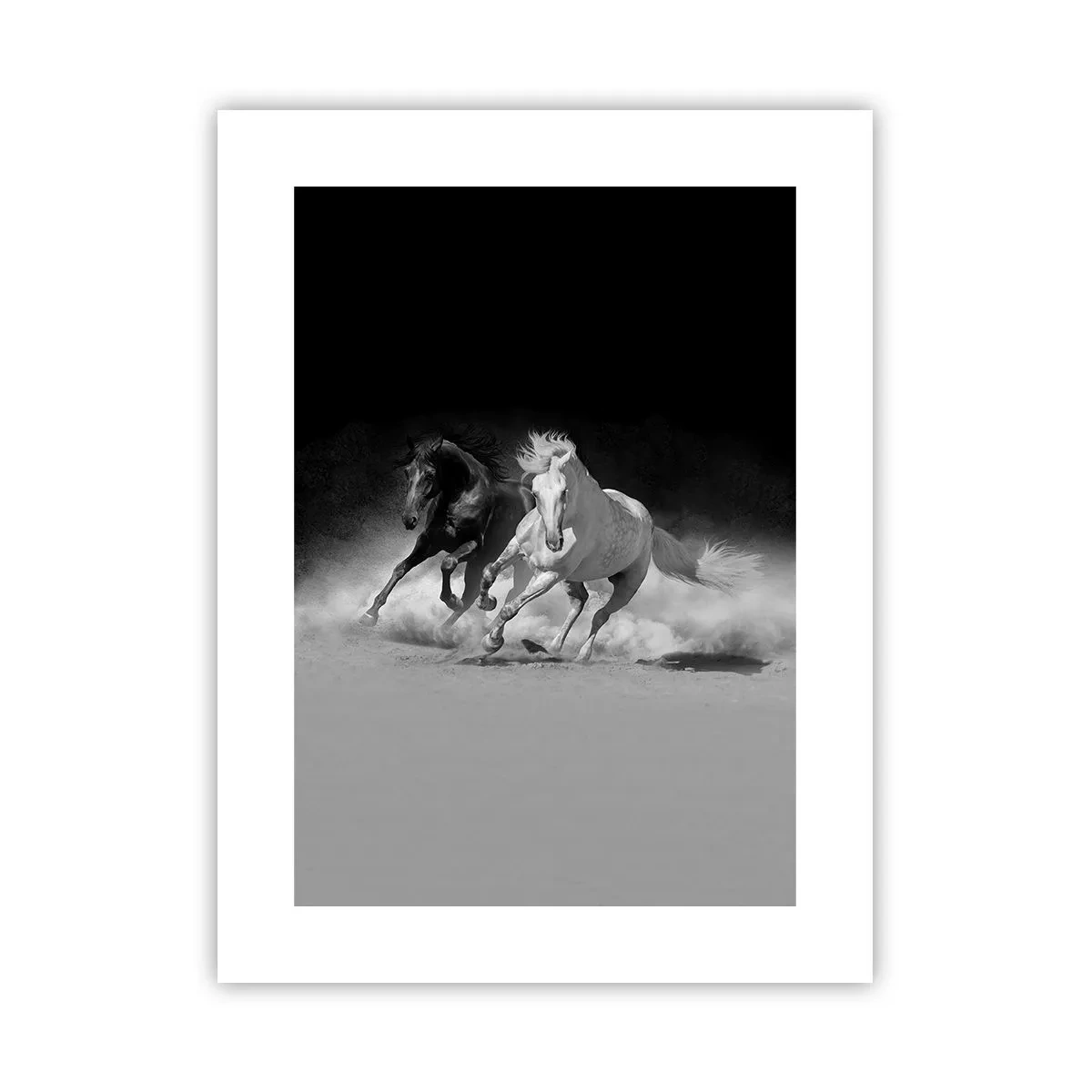 Poster - Vrijheidsgalop - 30x40 cm