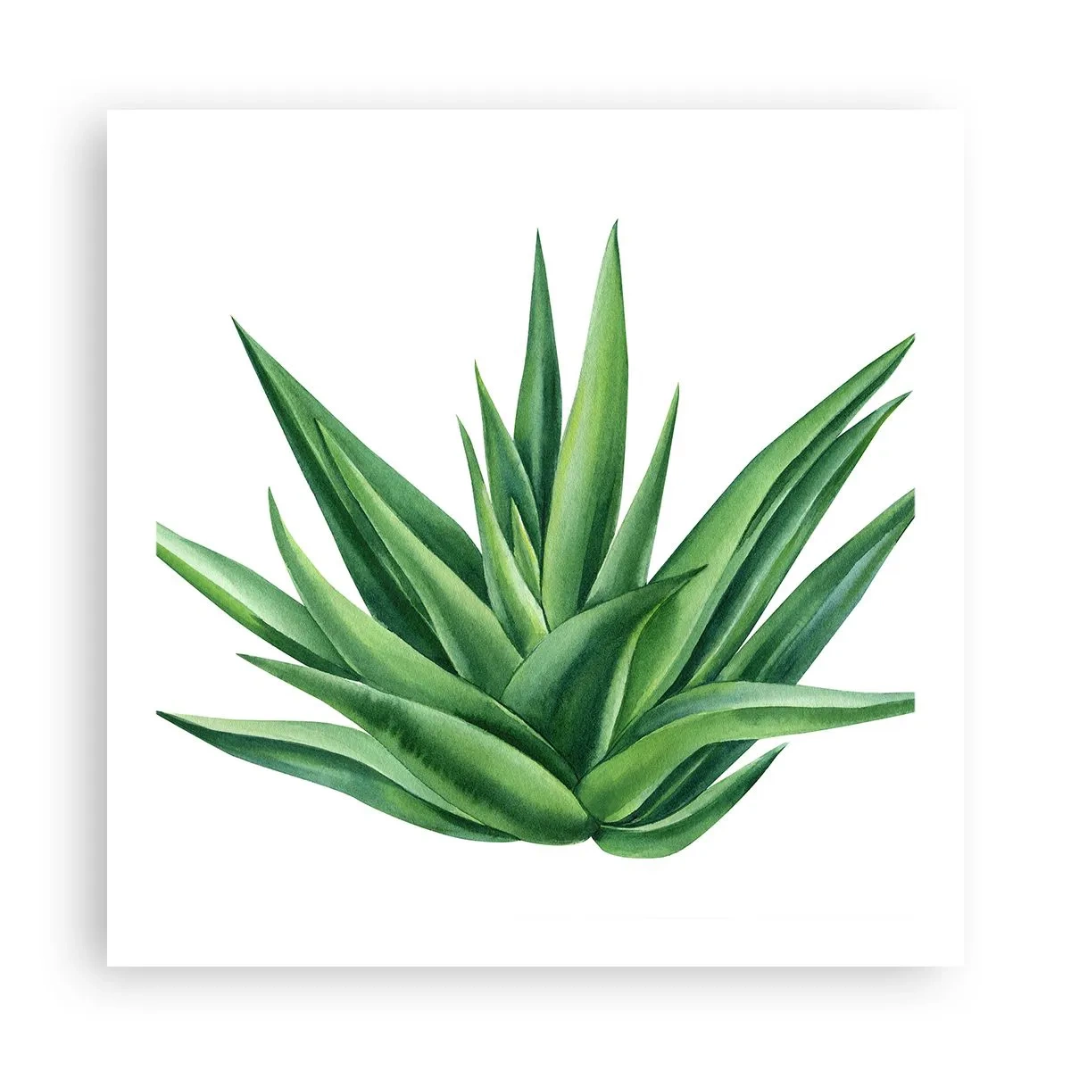Poster - Groen – kracht – leven - 60x60 cm