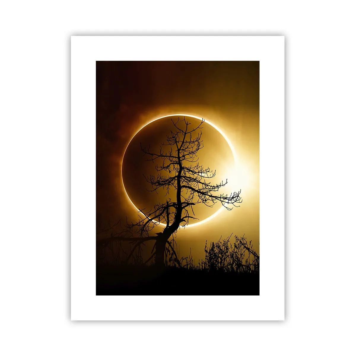 Poster - Totale zonsverduistering - 30x40 cm