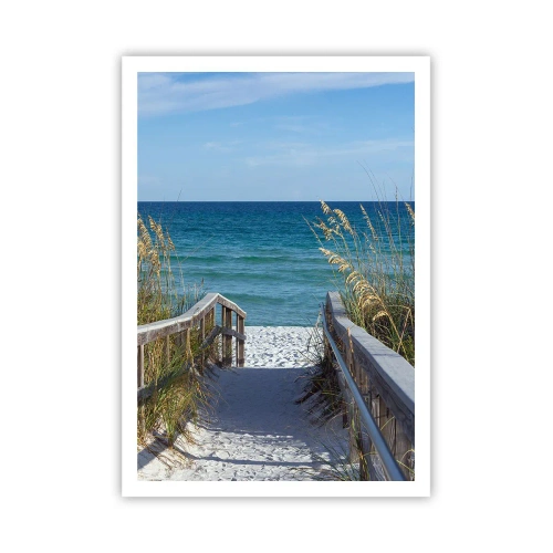 Poster - In de zon, in de wind - 70x100 cm