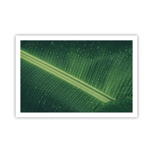 Poster - De structuur van groen - 91x61 cm