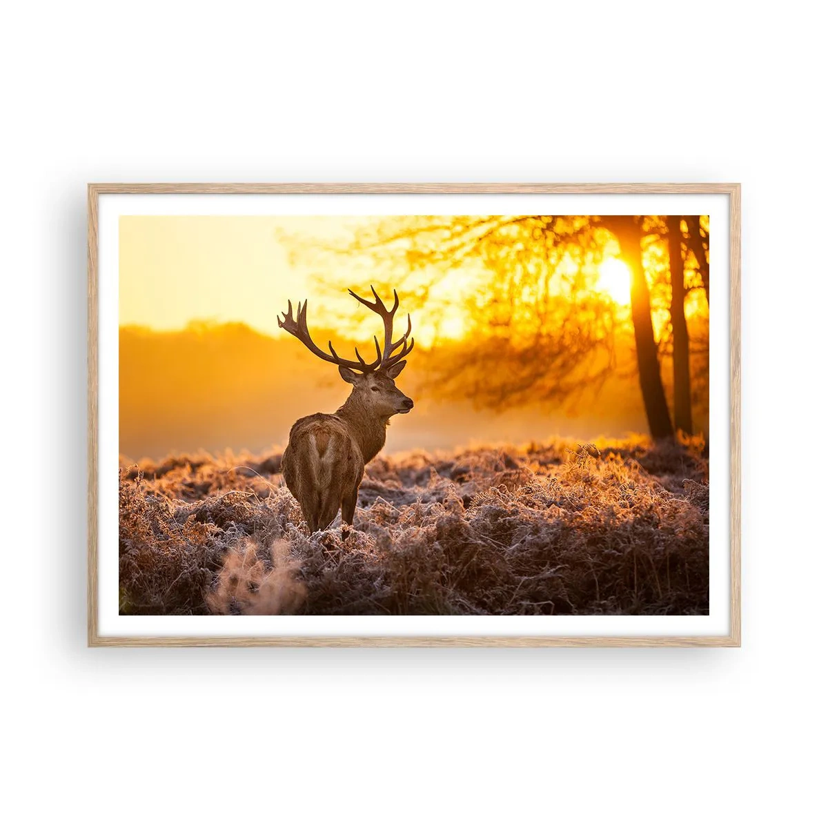 Een poster in een licht eiken lijst - Koning van het herfstbos - 100x70 cm