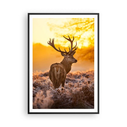 Poster in een zwarte lijst - Koning van het herfstbos - 70x100 cm
