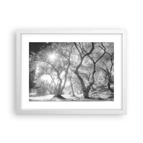 Poster in een witte lijst - In de olijfboomgaard - 40x30 cm