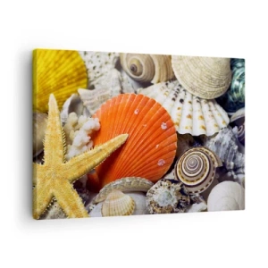 Schilderen op canvas - Schelpen en zeesterren in een mariene compositie - 70x50cm - Oceaan schatten - Moderne wanddecoratie voor woonkamer en slaapkamer ARTTOR