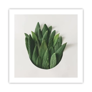 Poster - Ongebreidelde nieuwsgierigheid - 50x50 cm