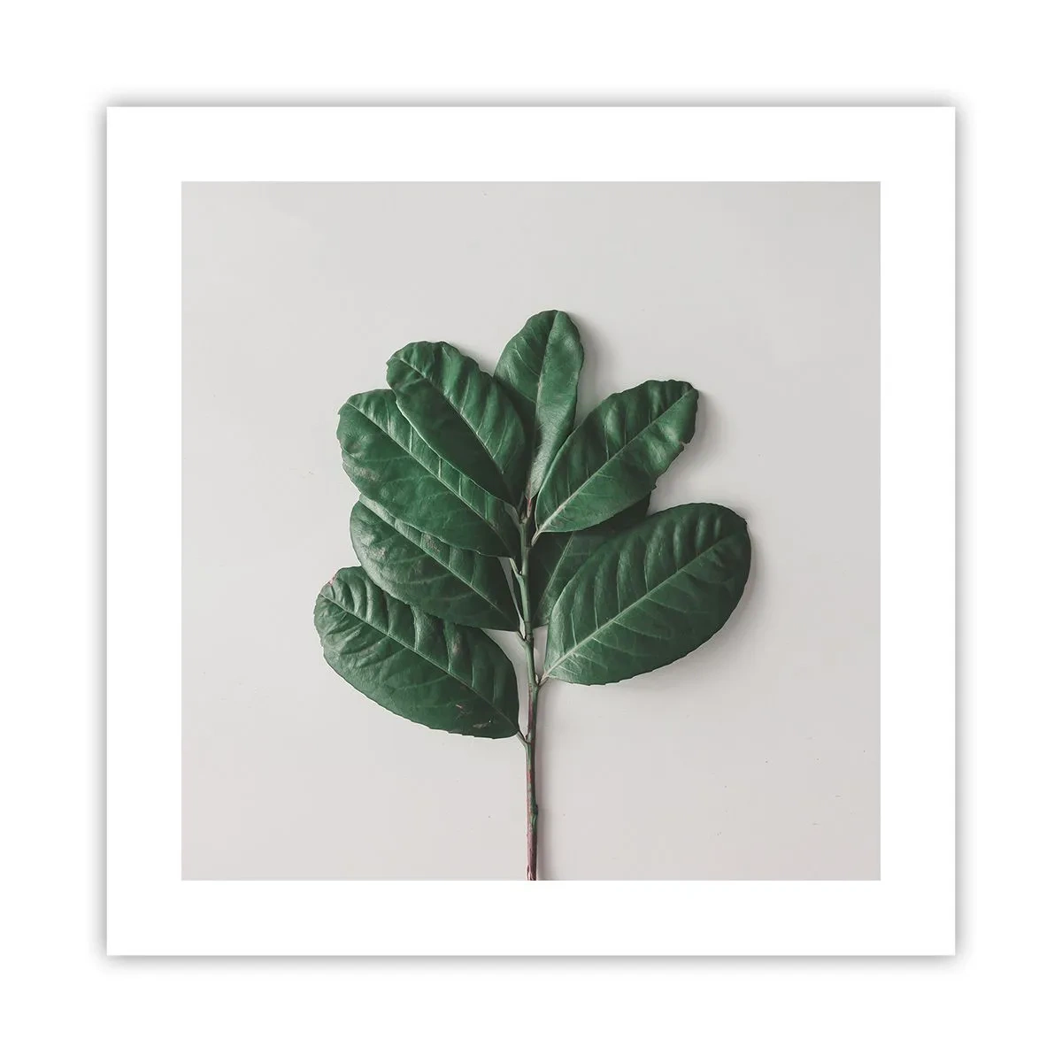 Poster - Een tekening van de pure natuur - 40x40 cm