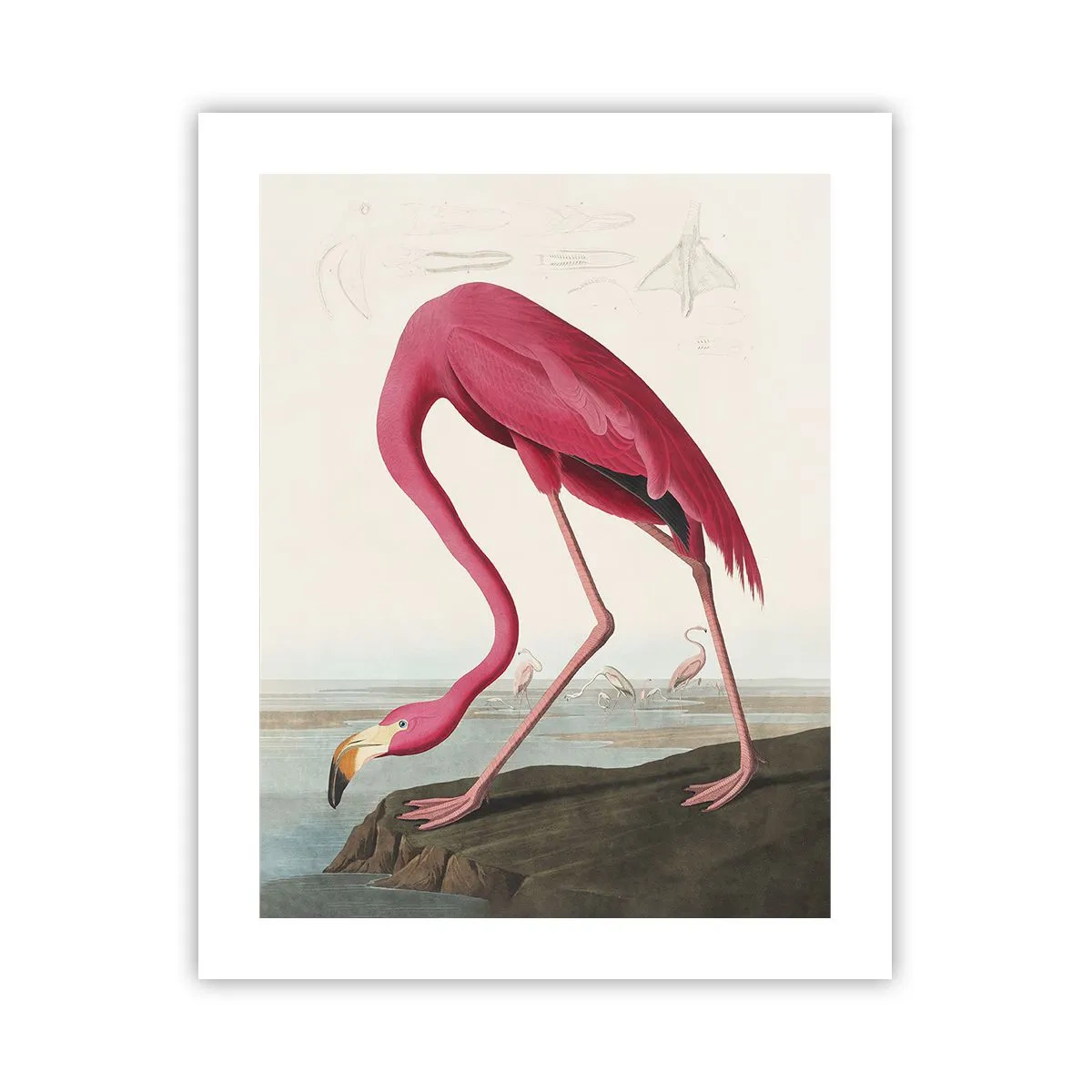 Poster - Geweldige creatie - 40x50 cm