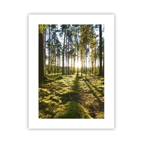 Poster - … Achter de zeven bossen - 30x40 cm