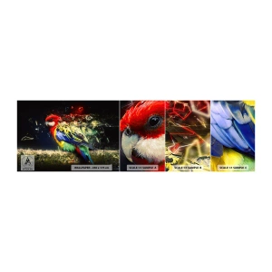 Fotobehang Monster Zelfklevend Deluxe Sticker - Boodschapper van uitstraling - Abstractie, Papegaai, Vogel - 100x30 cm