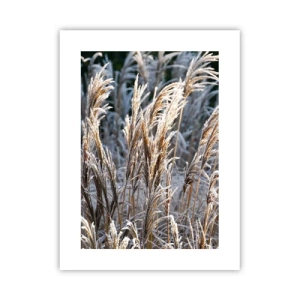 Poster - Gekleed met vorst - 30x40 cm
