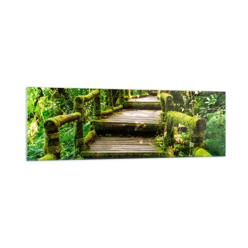 Schilderen op glas - Door de gang van groen - 160x50 cm