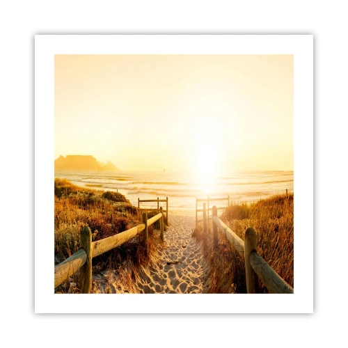 Poster - Over het duin, richting de zon - 50x50 cm