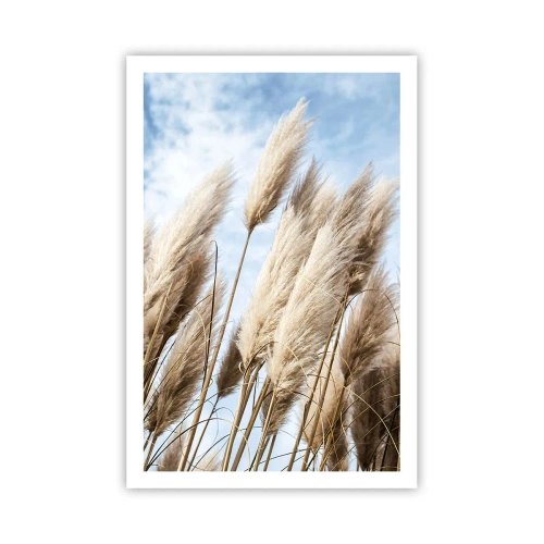 Poster - Zonnige en winderige streling - 61x91 cm