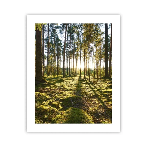 Poster - … Achter de zeven bossen - 40x50 cm