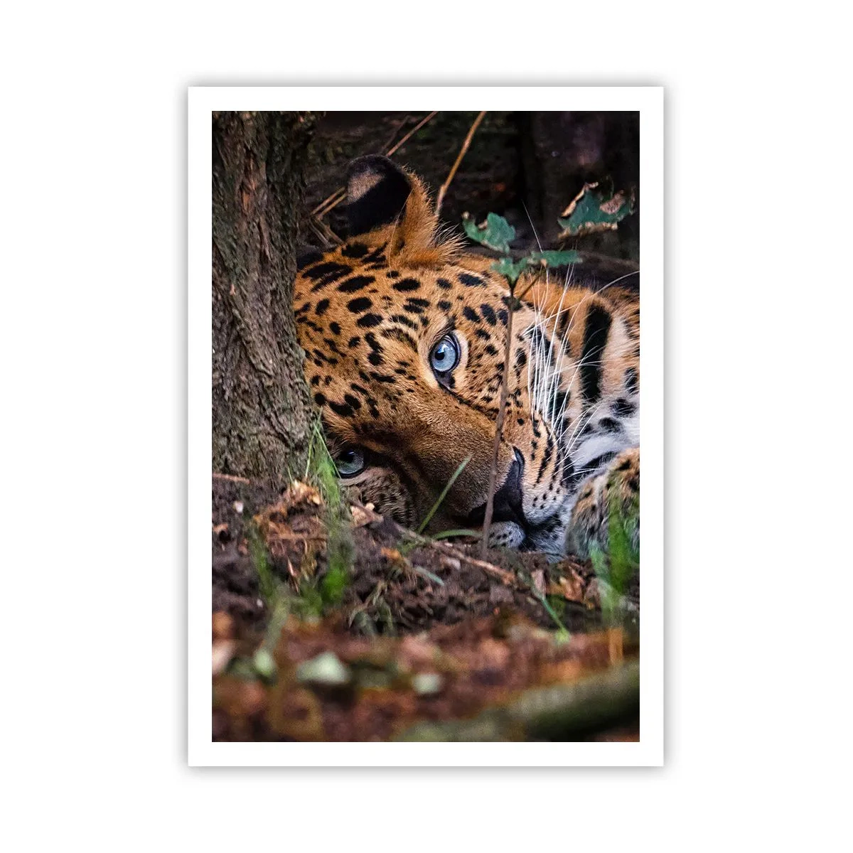 Poster - Geloof me - 70x100 cm