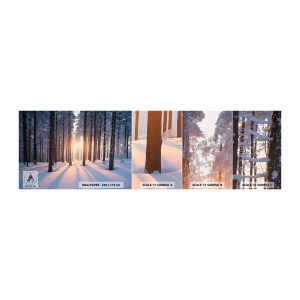 Fotobehang Staaltje Standard Eco - Duidelijk in zwart-wit - Landschap, Woud, Sneeuw - 100x30 cm