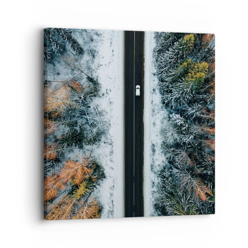 Schilderen op canvas - Snijd door het winterbos - 30x30 cm