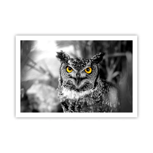 Poster - Niets zal zich verbergen - 91x61 cm