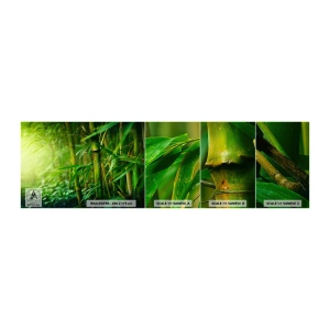 Fotobehang Monster Zelfklevend Deluxe Sticker - Maak kennis met groen zelf - Plant, Bamboe, Oerwoud - 100x30 cm