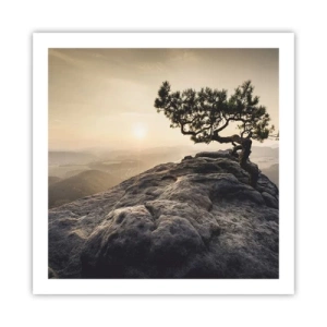 Poster - Het leven wint altijd - 60x60 cm