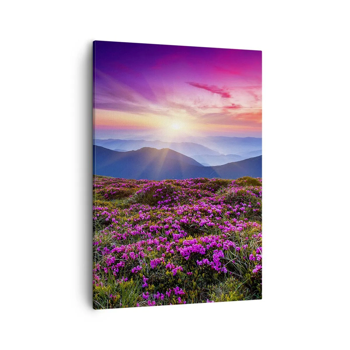 Schilderen op canvas - Kruiden roken naar verse trossen van de velden - 50x70 cm