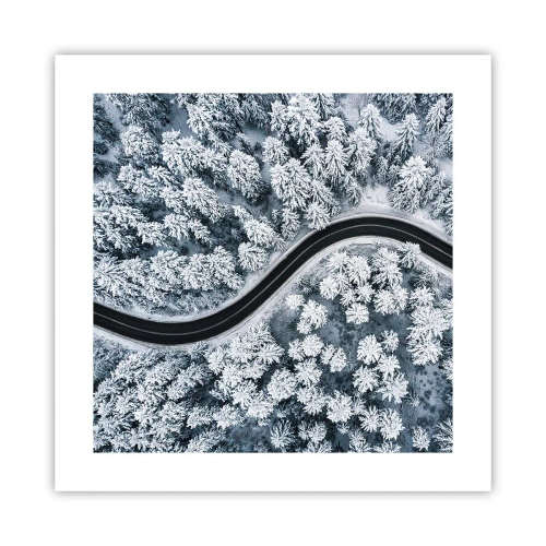 Poster - Door het winterbos - 40x40 cm