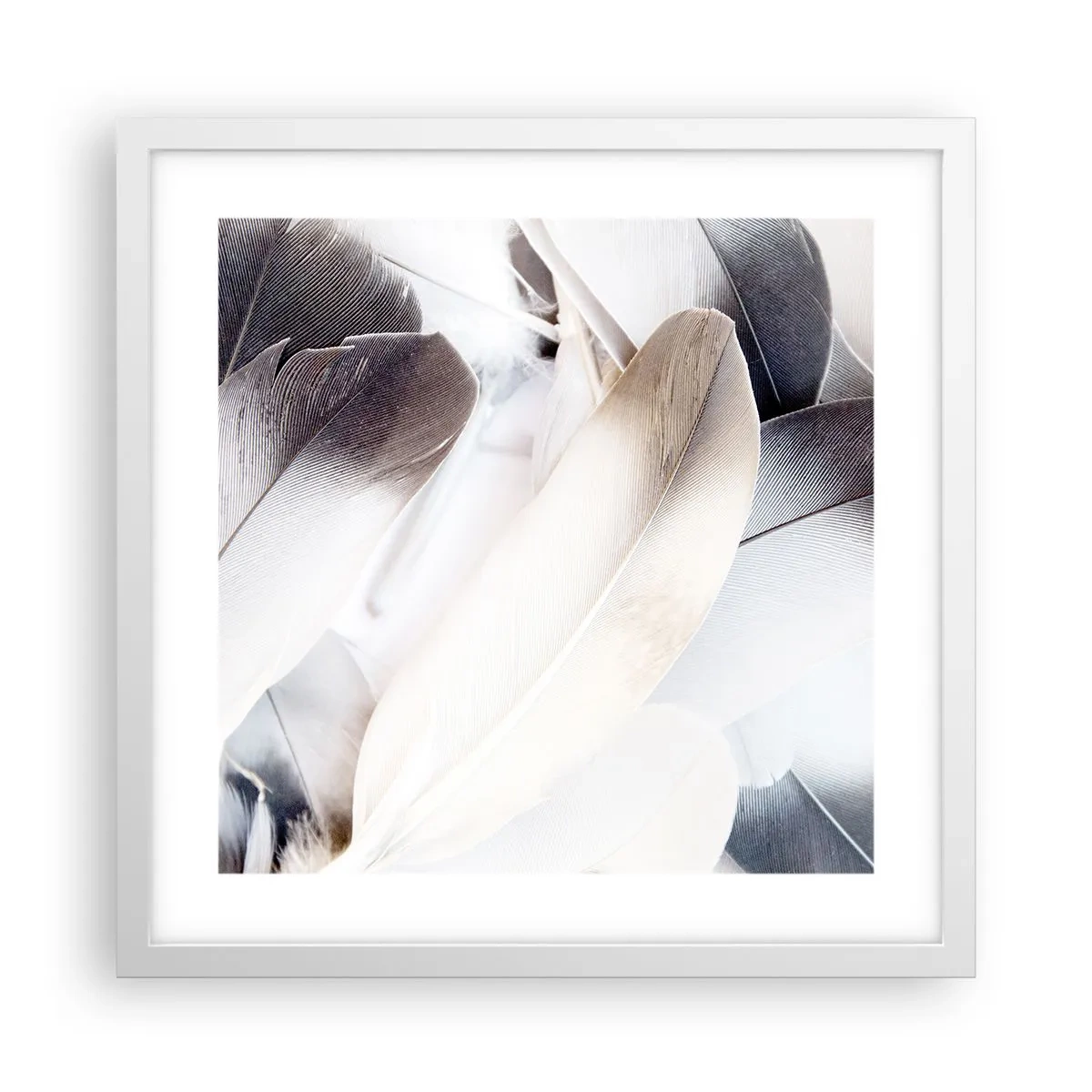 Poster in een witte lijst - Bijna engelachtig - 40x40 cm