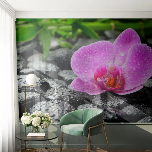 Fotobehang Premium Canvas - Als een open hart - Bloemen, Orchidee, Orchidee - 450x315 cm