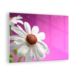 Schilderen op glas - Macrofotografie van een witte bloem met dauwdruppels tegen een roze achtergrond - 70x50cm - Bescheiden in zijn schoonheid - Moderne wanddecoratie voor woonkamer en slaapkamer ARTTOR